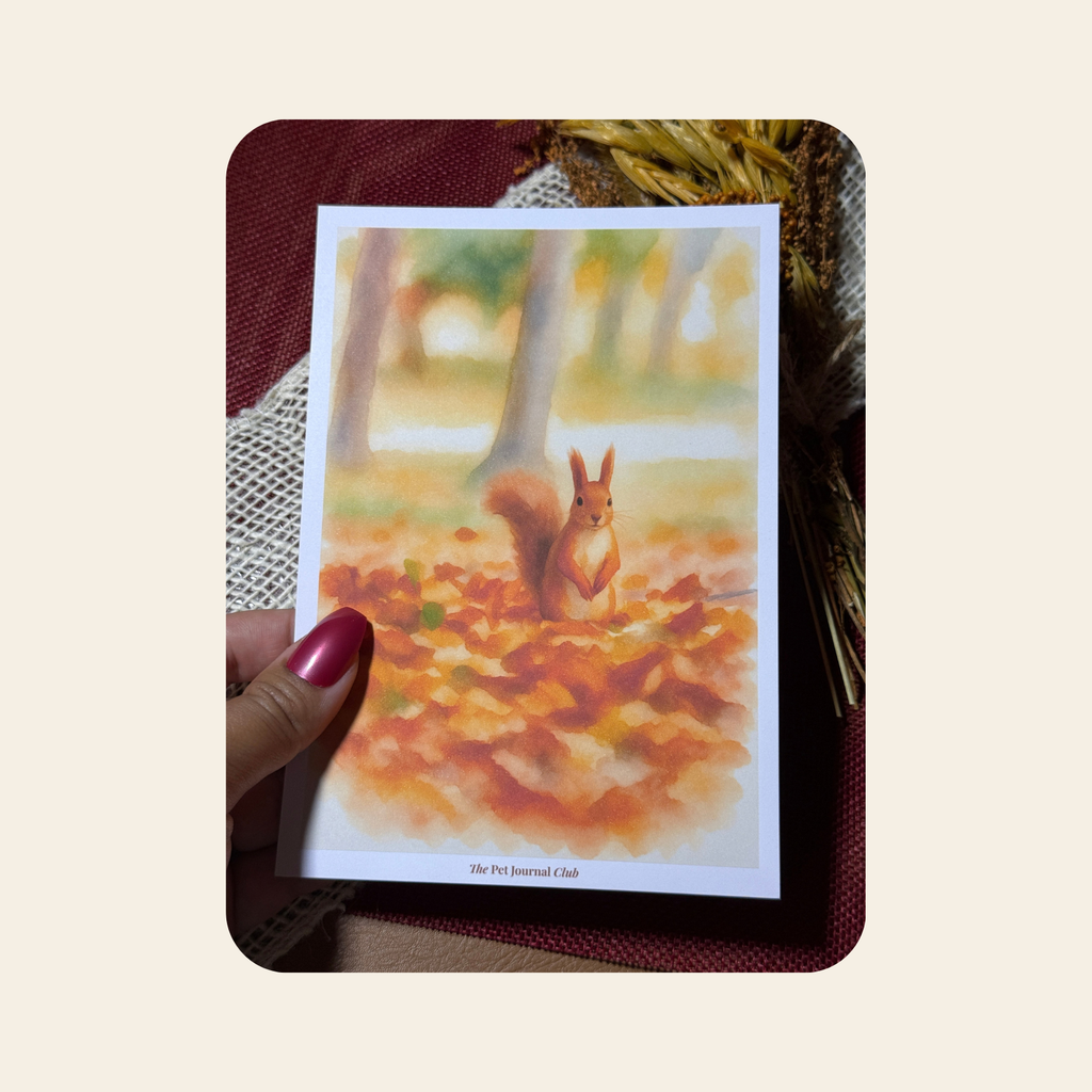 Art Print A5 - Sous les feuilles rousses