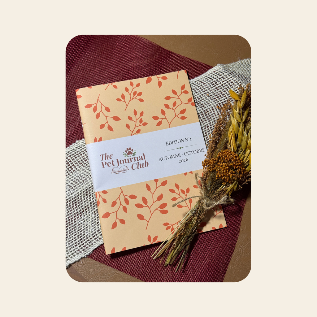 Carnet n°1 – Sous les feuilles rousses