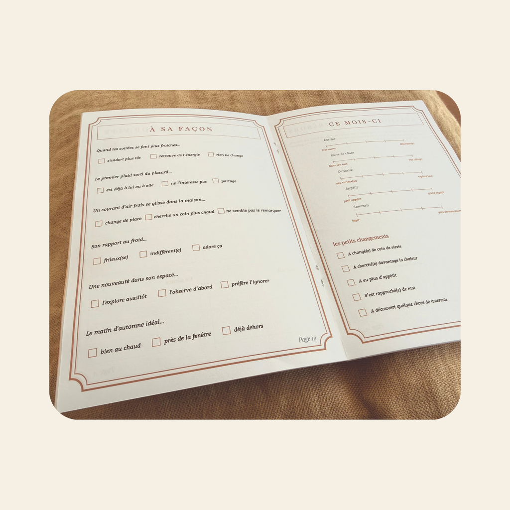 Carnet n°1 – Sous les feuilles rousses