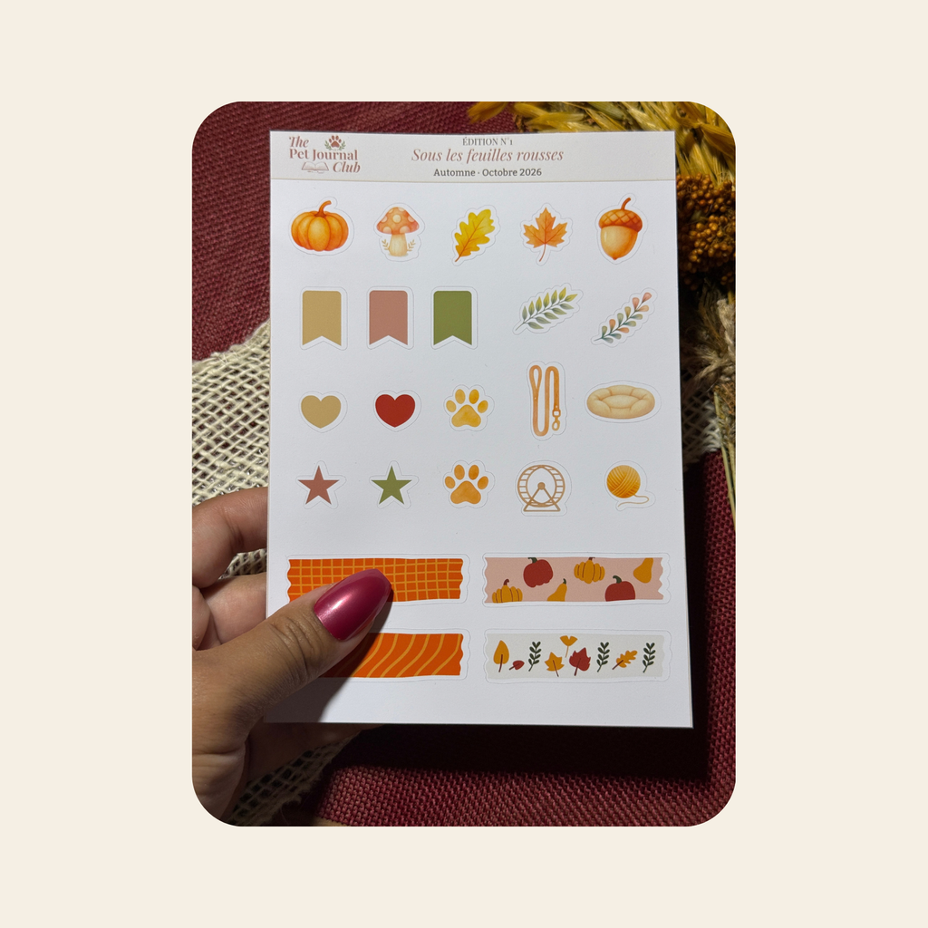 Planche de stickers n°1 – Sous les feuilles rousses